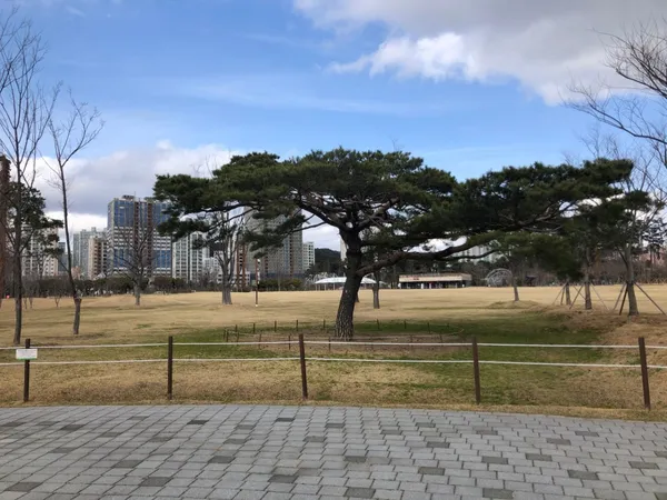 부산시민공원 사진 2