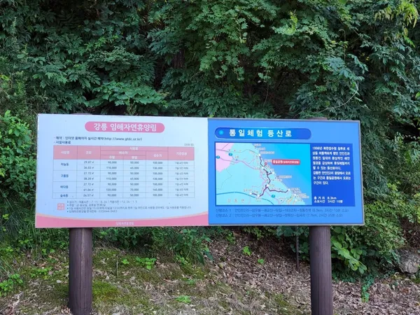강릉임해자연휴양림 사진 2