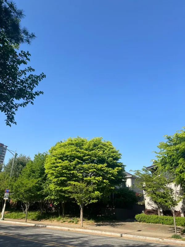 Cafe 2day 사진 2