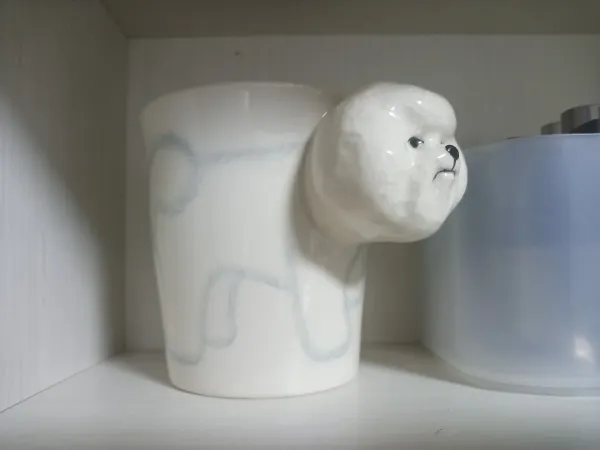티 포 사진 4