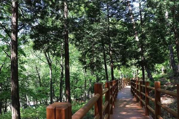 국립대운산치유의숲 사진 3