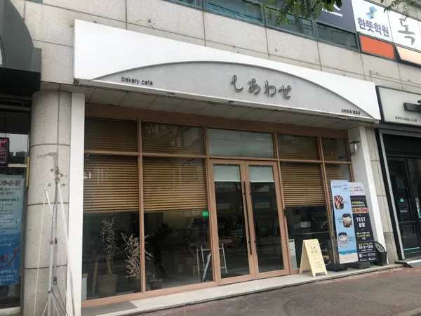시아와세 사진 2