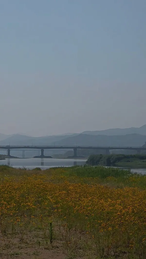 미르섬 사진 2