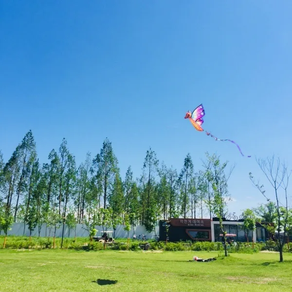 세종호수공원 사진 3