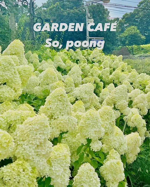 소풍 사진 2