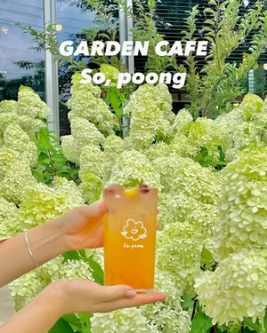 소풍