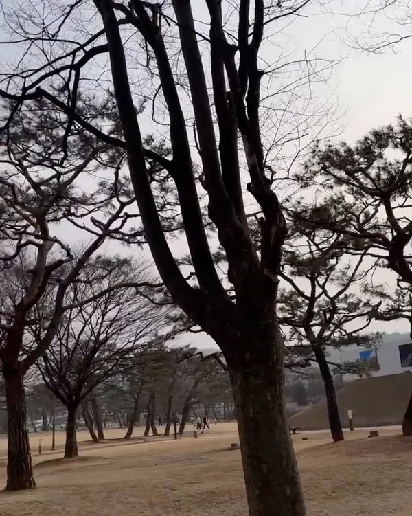 중앙탑사적공원 사진 3