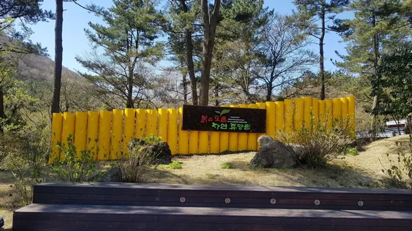 붉은오름자연휴양림 사진 2