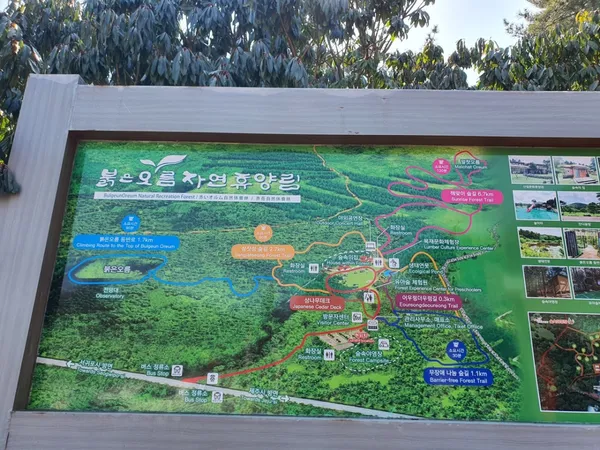 붉은오름자연휴양림 사진 3