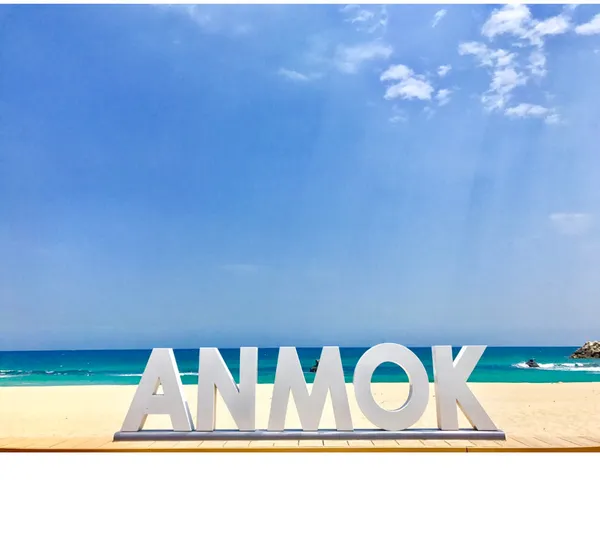 안목해변 사진 3