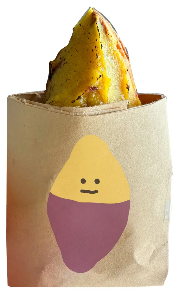 고고미 사진 3