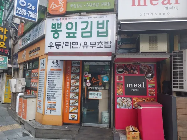 소풍 사진 2