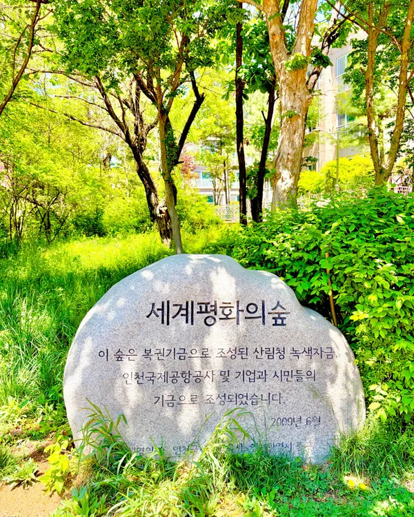 세계평화의숲 사진 2