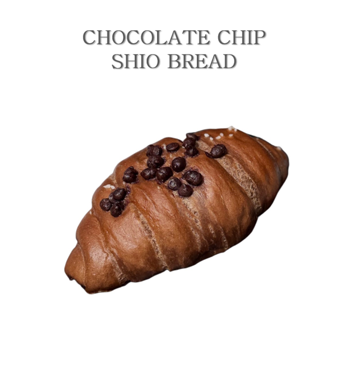 디비에이 사진 3
