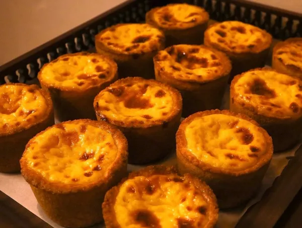 파드 사진 2