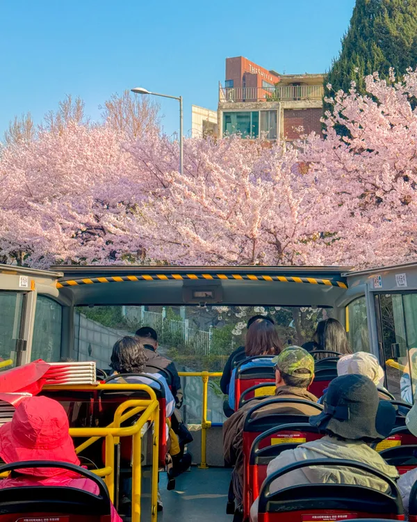 서울시티투어버스 사진 2