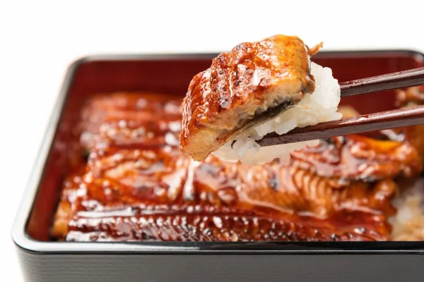 Naruse’s Unagi Higashi-Ueno, photo 3