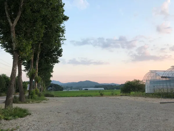 팜앤트리 사진 3