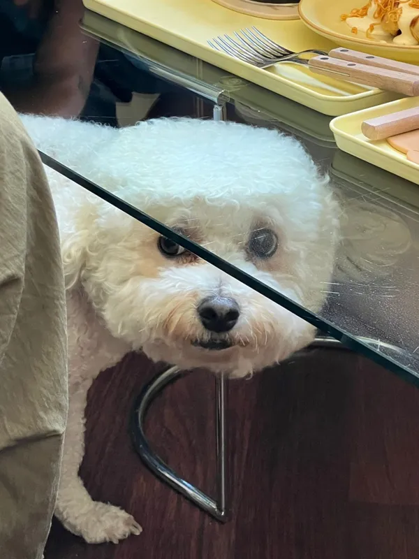 이응 사진 3