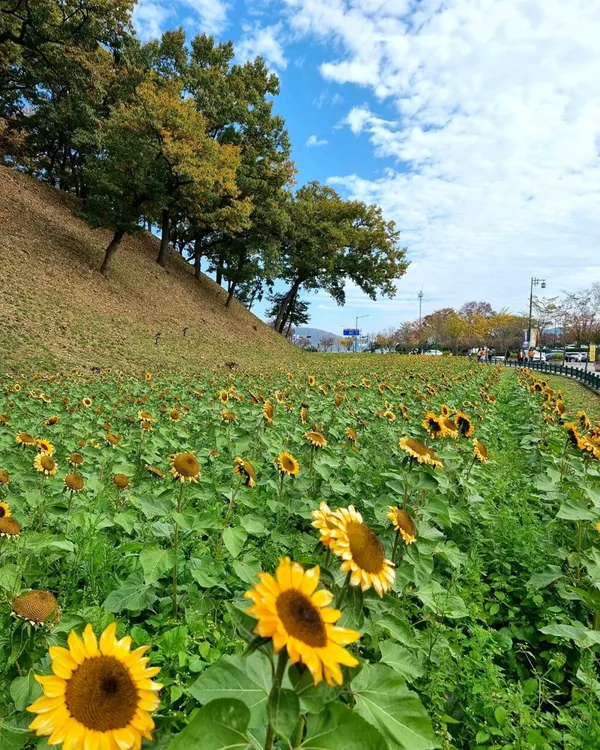 경주 월성 사진 2