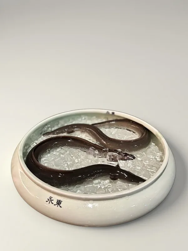 영동장어 사진 2