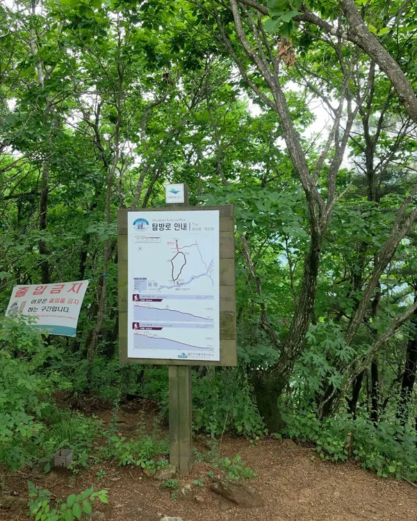 도락산 사진 3