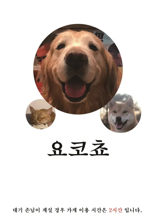 요코쵸 사진 3