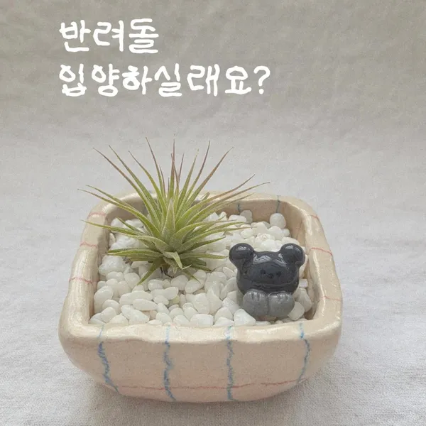 제주소품샵 달다제주 사진 2
