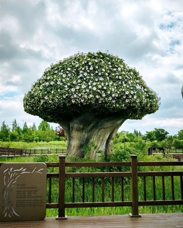 임진각 평화누리공원 사진 2