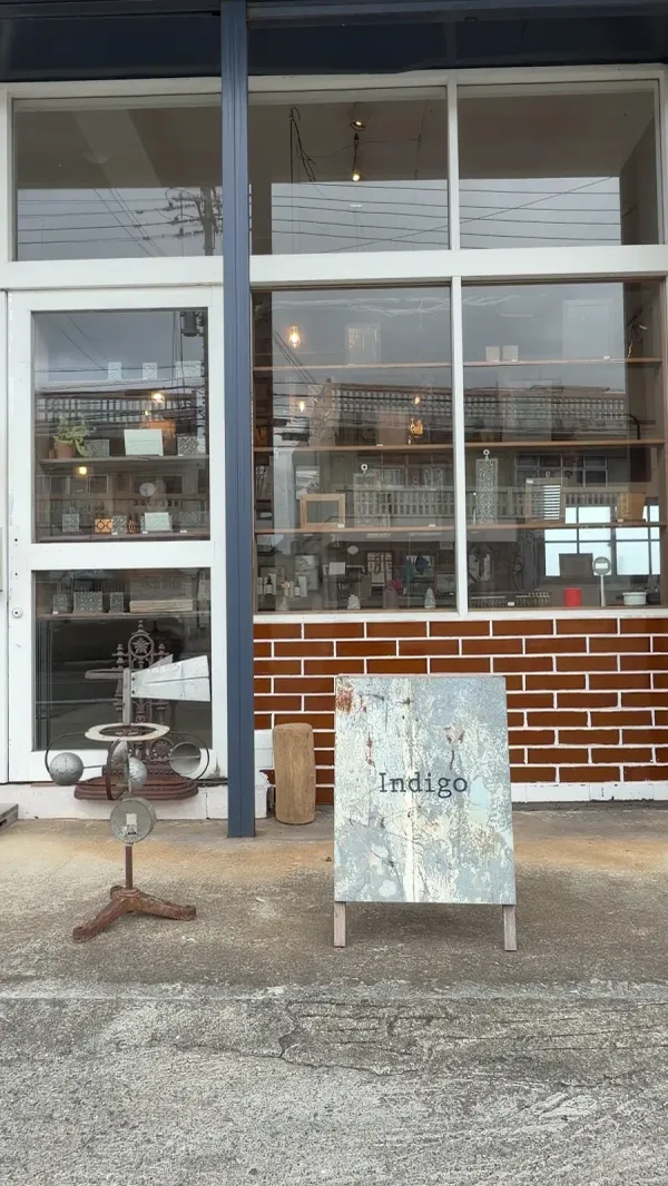 indigo 사진 3