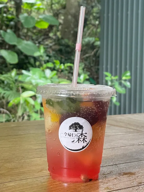 Okinawa Soba Nakijin no Mori, photo 5