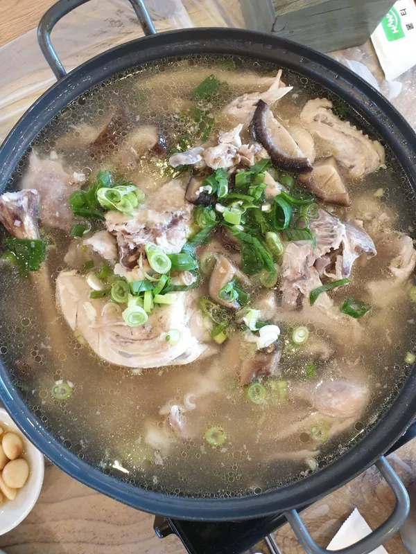 나경버섯 사진 2