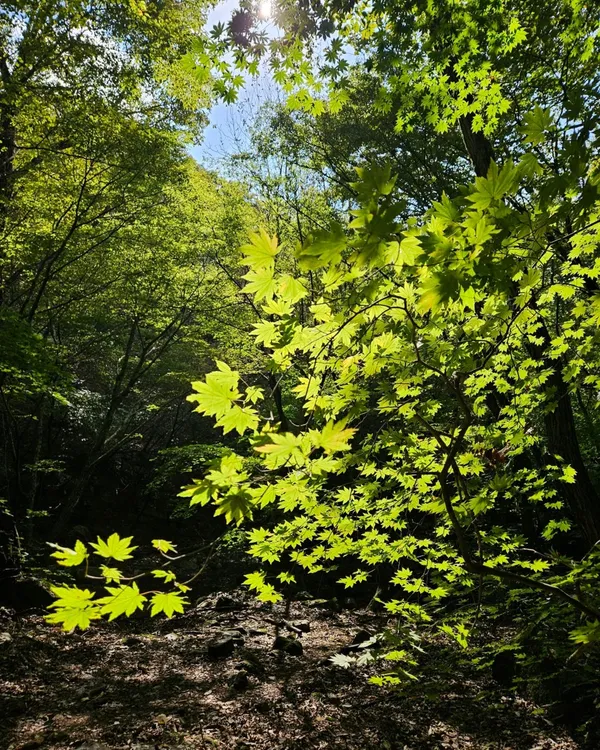 주흘산 사진 3