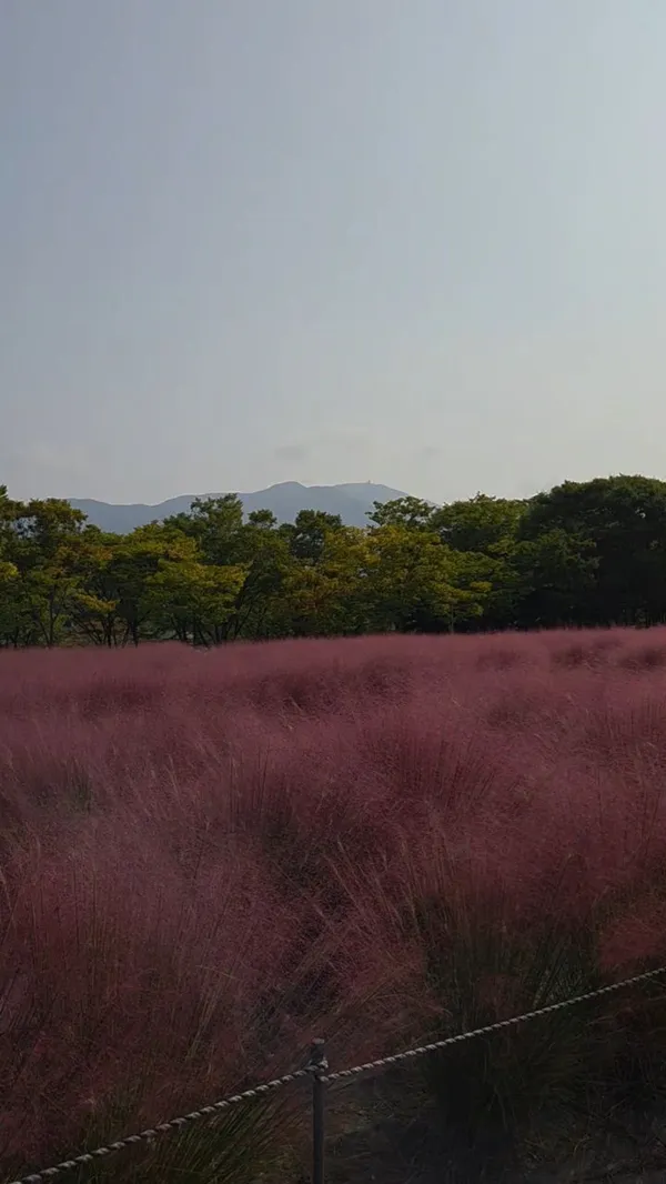 미사경정공원