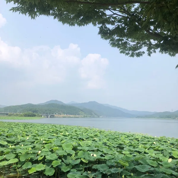 두물머리 사진 2