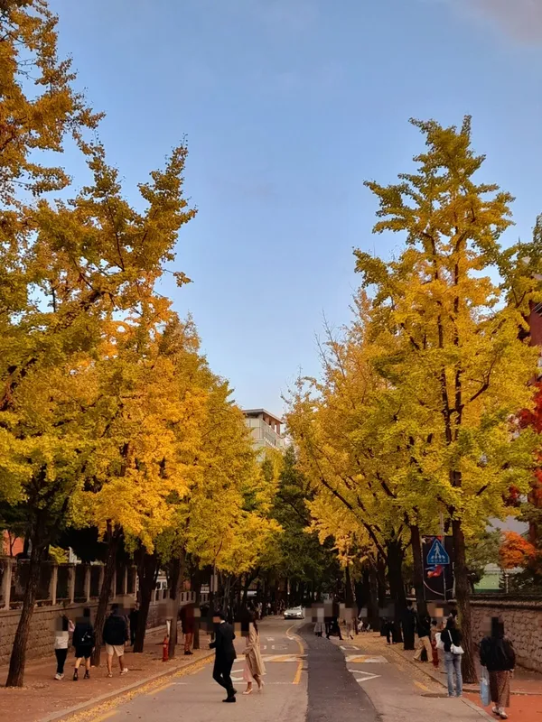 정동길