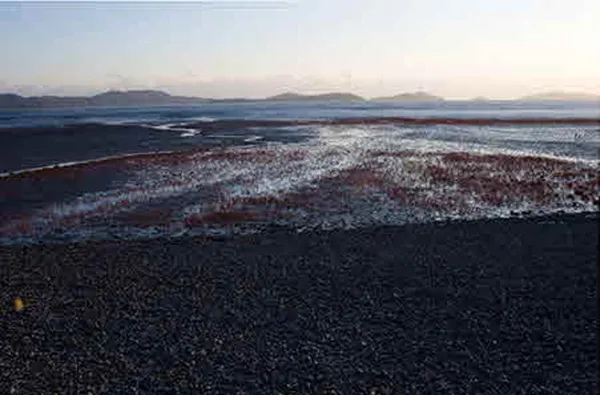 동막해변