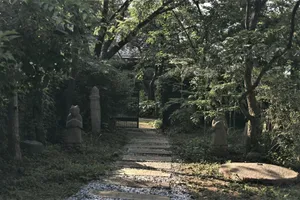 프란쓰