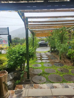 지중해캠프