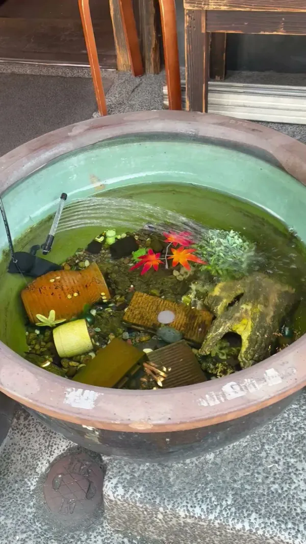 Yai-yai 사진 3