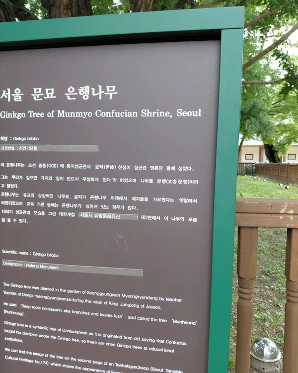 성균관 명륜당 사진 3