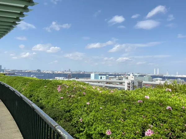 Minato no Mieru Oka Park Observatory, photo 4