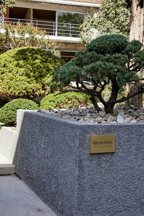 앤트러사이트 서교점