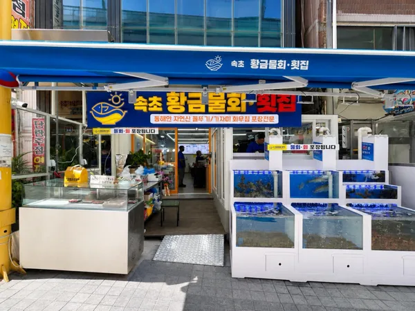 속초황금물회횟집