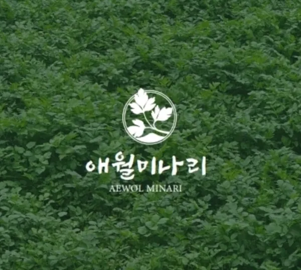 애월미나리