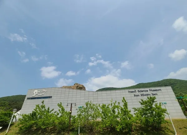 부안누에타운