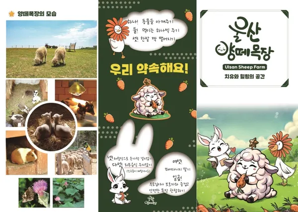 울산양떼목장 사진 3