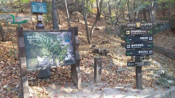 삼청공원 유아숲체험장