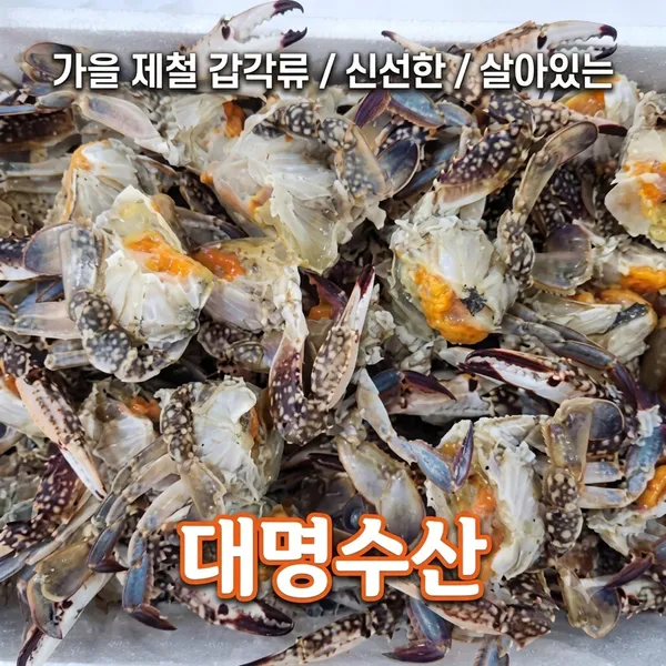 대명수산 수원농수산물도매시장점
