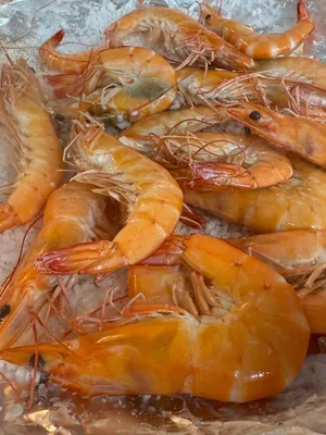 Wangsaeujikpanjang